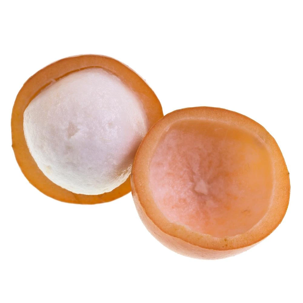 Achacha Fruit Tree - Image 3