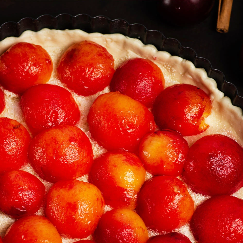 Bubblegum 'Toka' Plum Tree - Image 5