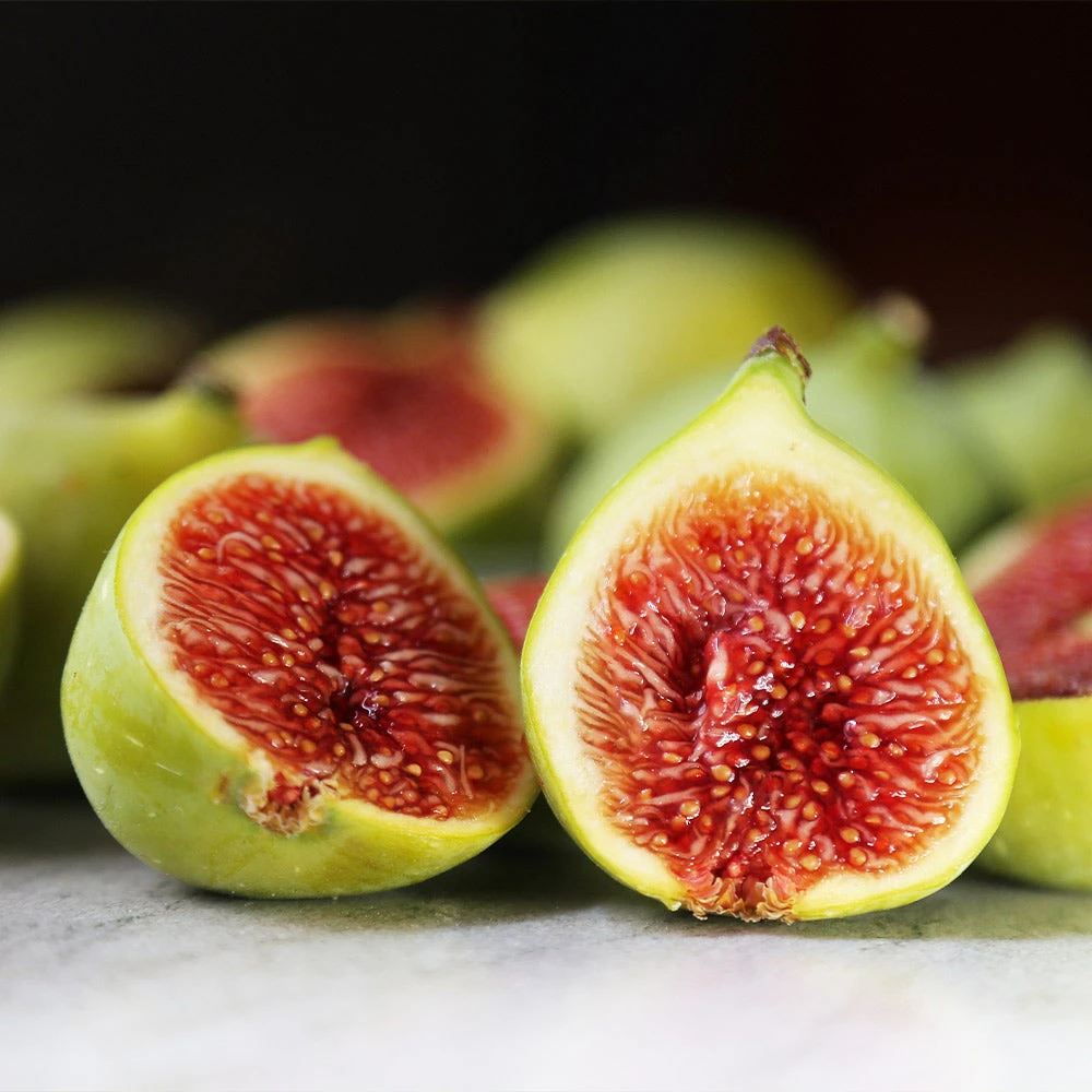 Desert King Fig Tree - Image 4