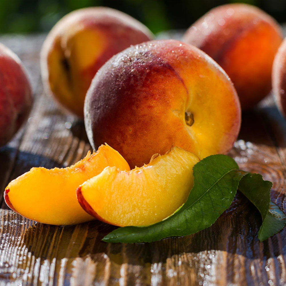 Red Baron Peach Tree - Image 5