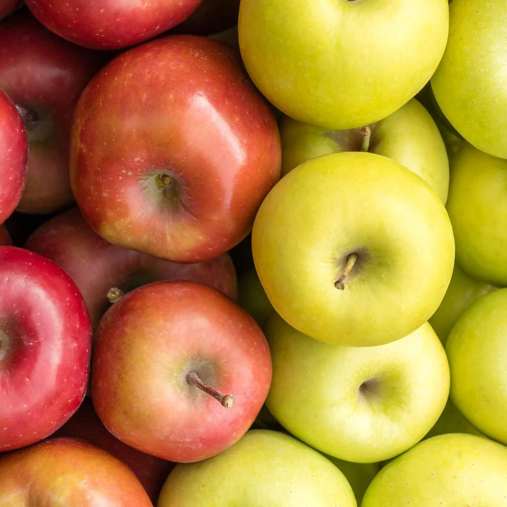 3-in-1 Apple Surprise Tree - Image 3