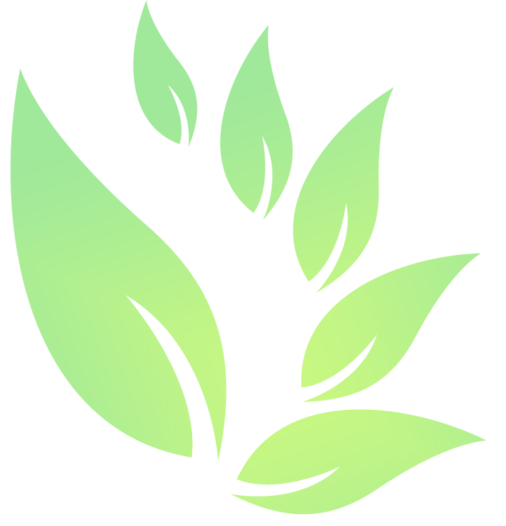 Cheap Bower Lush Store